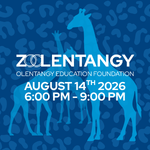 ZOOlentangy 2026 - Return to the Jungle! - logo